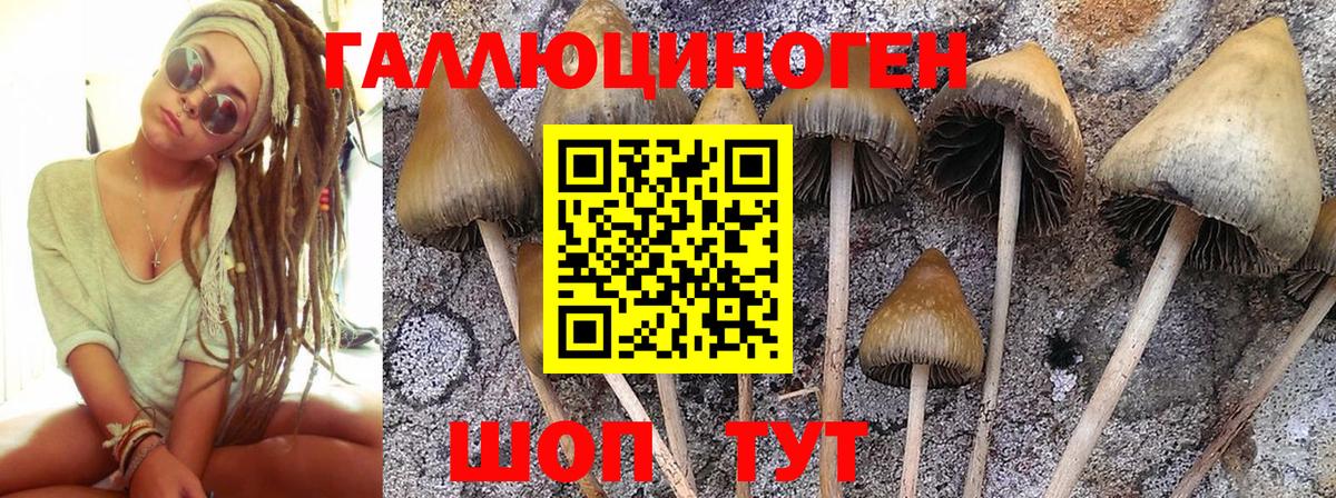 Галлюциногенные грибы мухоморы Моршанск