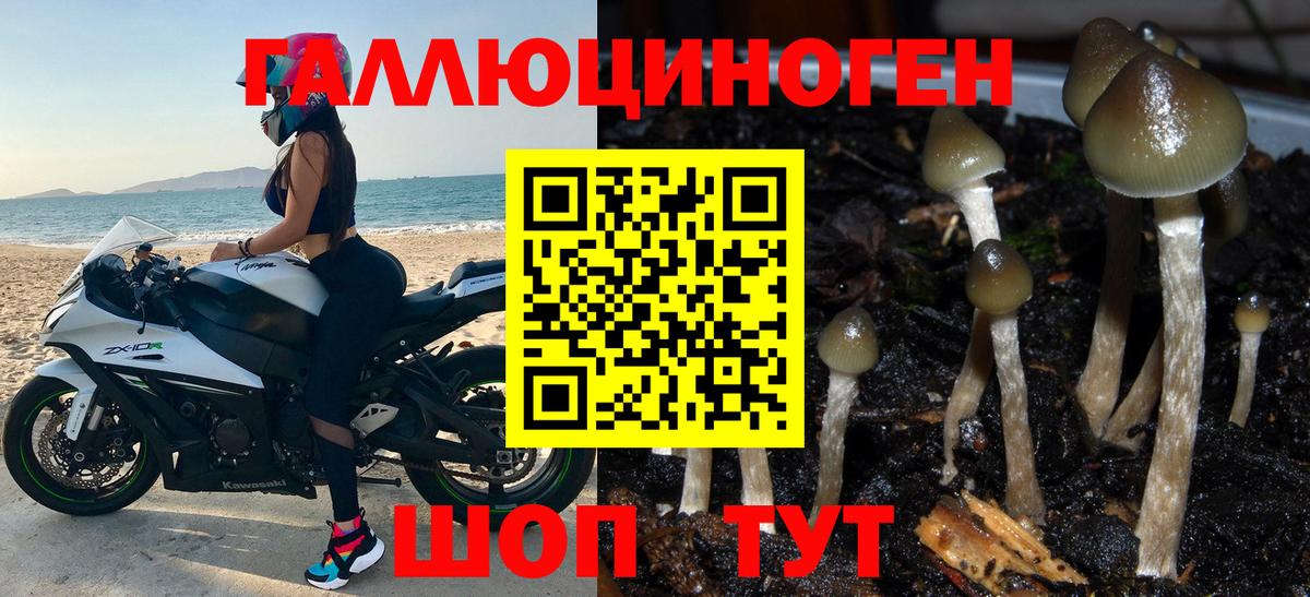Псилоцибиновые грибы ЛСД  Вход с VPN  Моршанск 