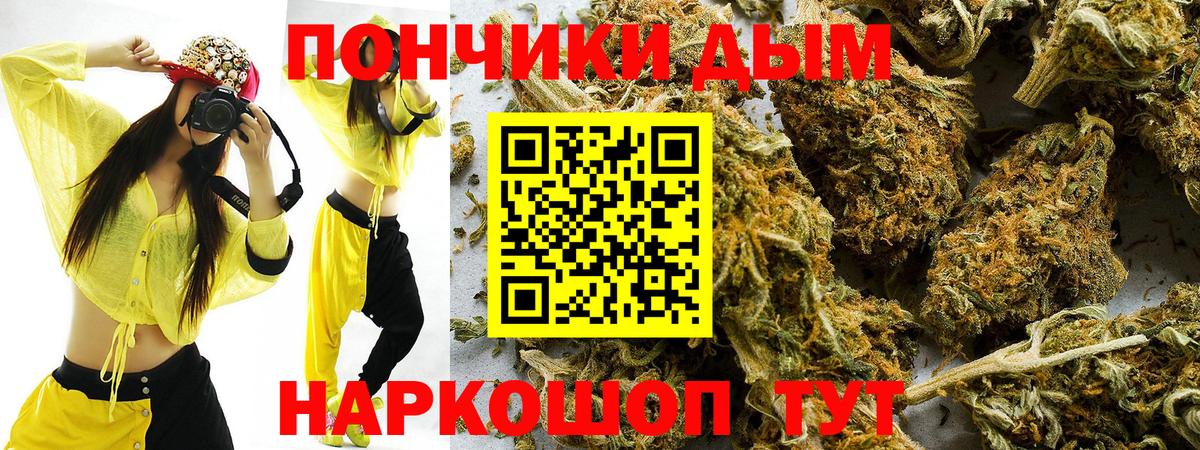 Шишки марихуана гибрид Моршанск